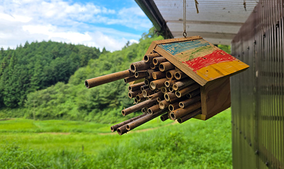 親子里山体験あそび