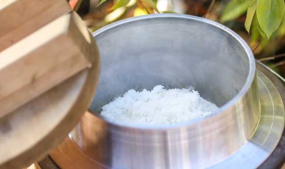 生きもの探しファミリーキャンプ～ホタル観賞と初夏の生きもの編～