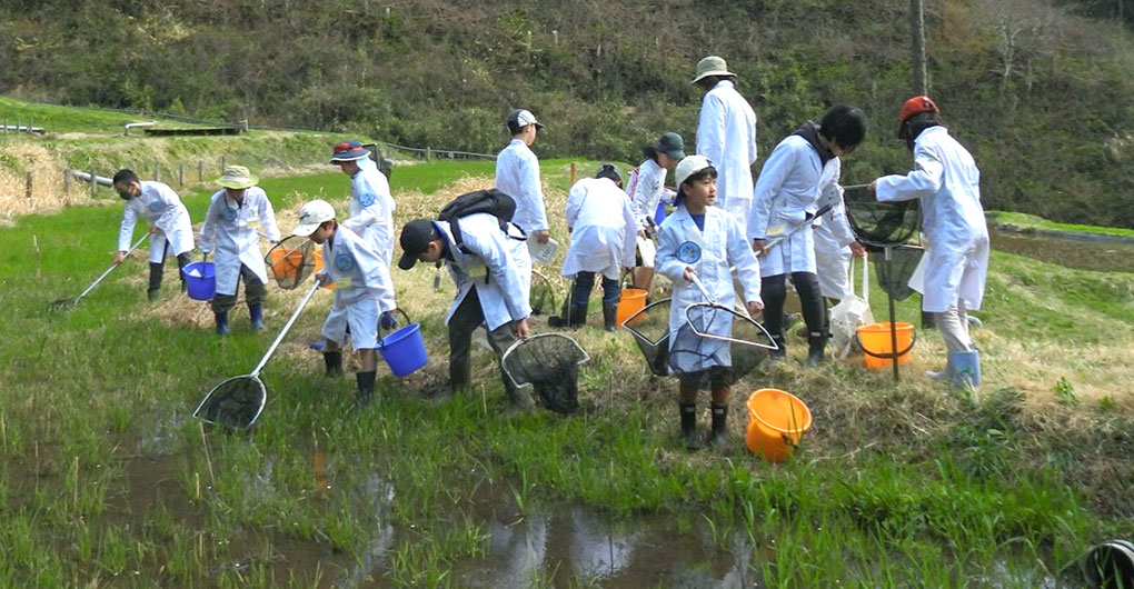 【会員制】水生生物キッズ研究員