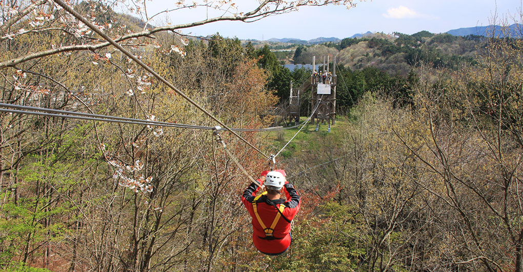 【宿泊者限定】朝の森を舞う「森のジップライン ムササビ」