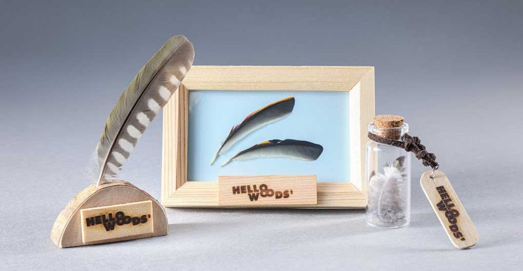 Wild Bird Feather Craft and Forest Walk