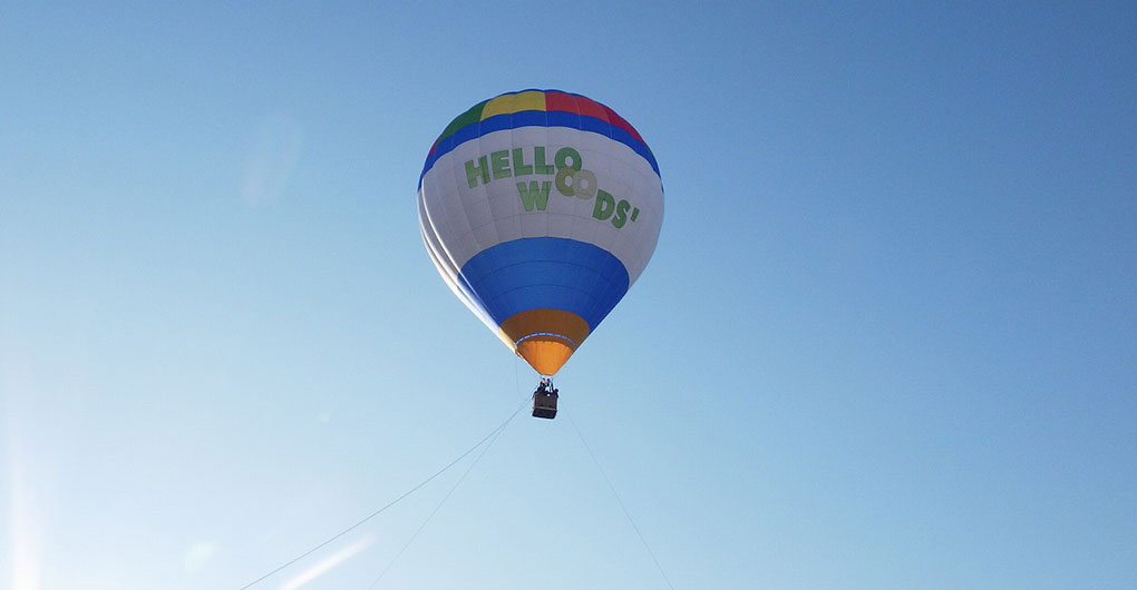Hot Air Balloon Tethered Ride Experience