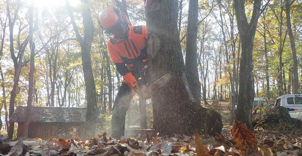 Forest Creation Workshop ~ Logging ~