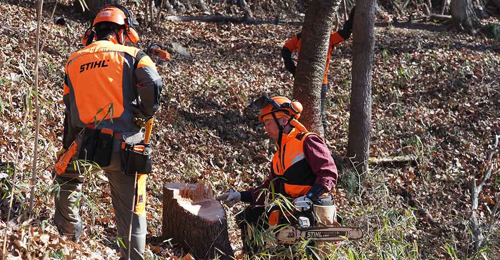 Forest Creation Workshop ~ Logging ~