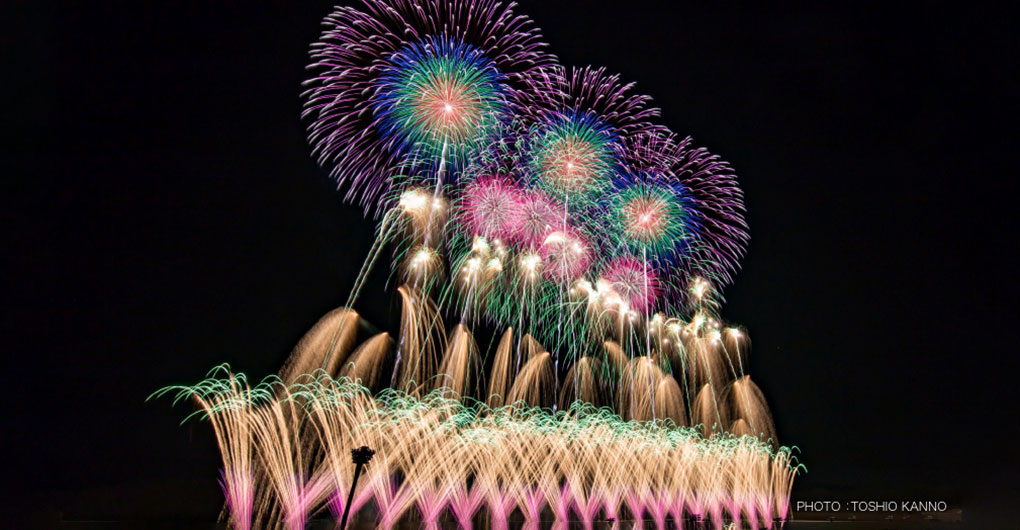 Acorn Square Site - Firework Festival Plan -