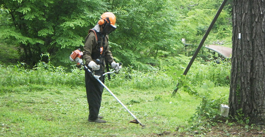 Forest Creation Workshop ~Grass Cutting~