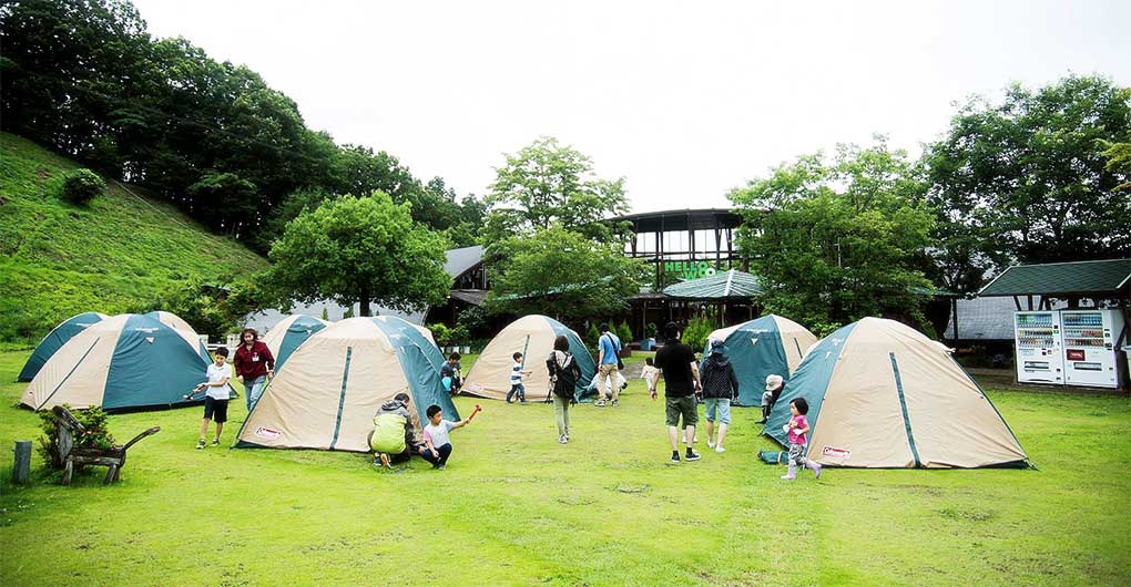 Creature Search Family Camp – Firefly Viewing and Early Summer Creatures Edition –