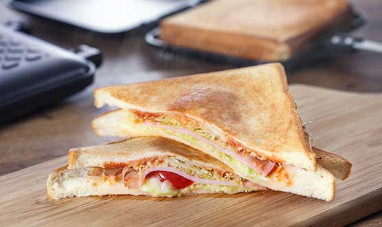 Creature Search Family Camp – Firefly Viewing and Early Summer Creatures Edition –