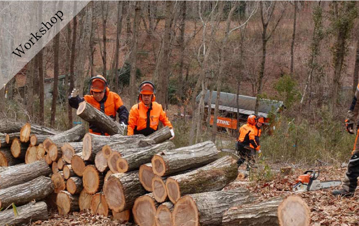 Forest Creation Workshop ~Felling and Timber Extraction~