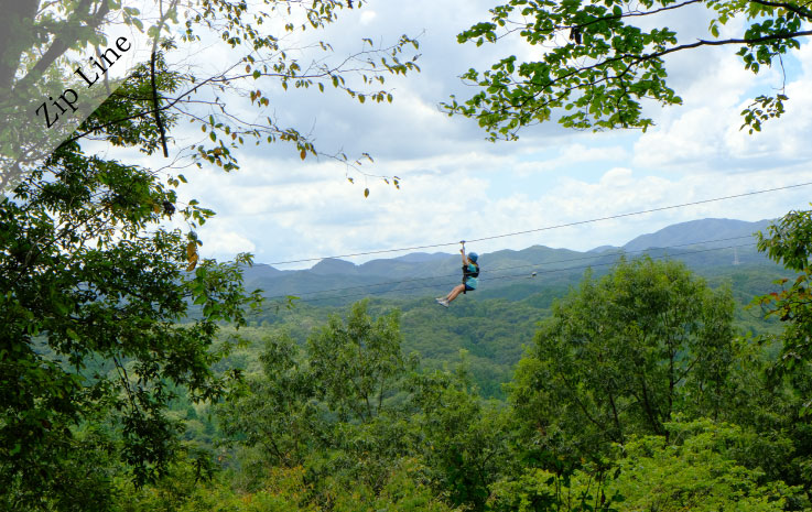 Forest Zipline, Musasabi