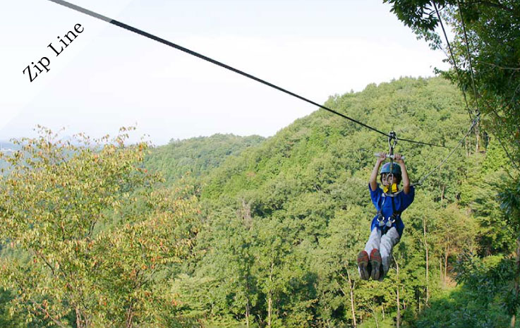 "Forest Zipline, Musasabi" soaring through the morning forest