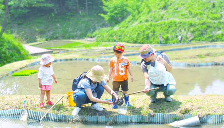 Experience the activity "Gasa Gasa Introduction with Living Creature Doctor" at Mobility Resort Motegi!