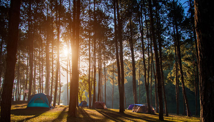 Want to spend comfortably even in summer! What are the measures against heat to enjoy summer camp?
