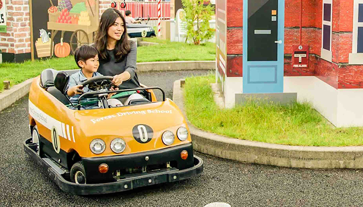 Forest Driving School