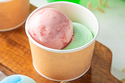 Gelateria in the Woods, ROCCO: Free Upgrade Ticket from Single to Double Gelato!