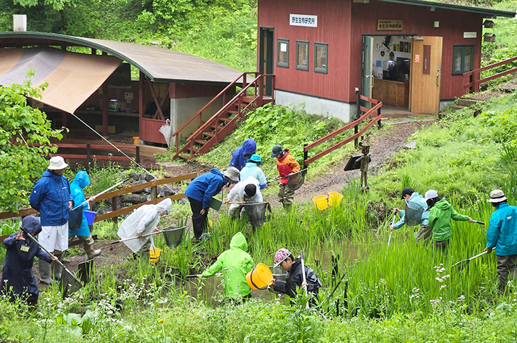 Examples of Activities