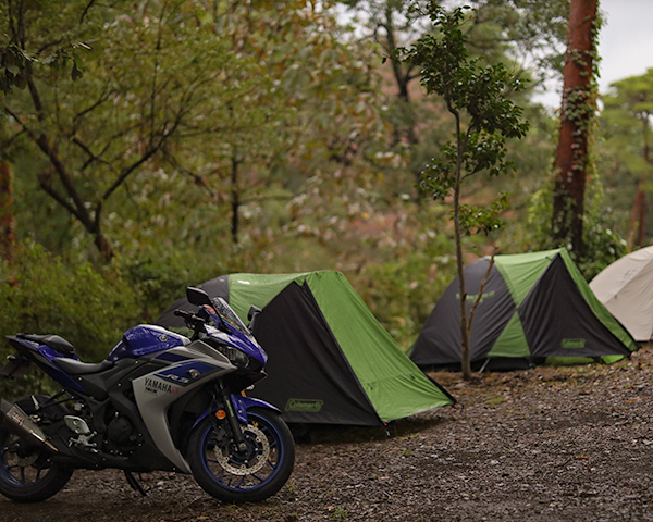 MotoGP™ FOREST RIDER’S CAMP