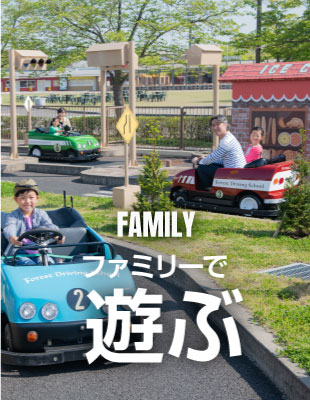 Play with Family