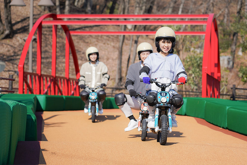 Spring Special Day Passport