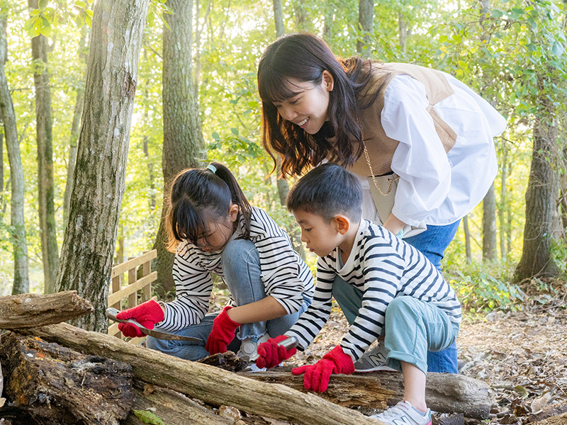Searching for Rhinoceros Beetle Larvae and Making a Rearing Set