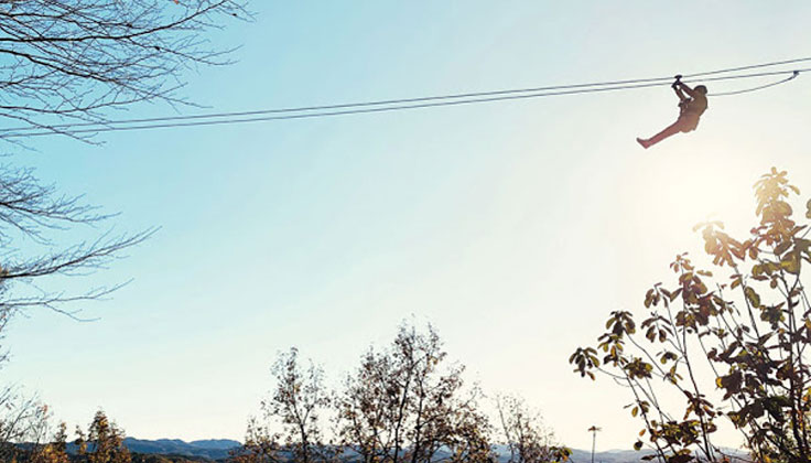 1日に数組限定！プレミアム感のある「森のジップライン ムササビ」は朝がおすすめ！