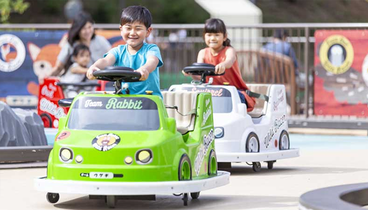 ワイルドレーサー