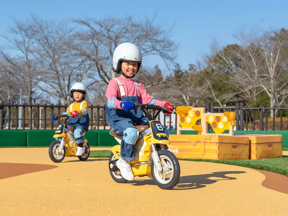 スペシャルデー・パスポート