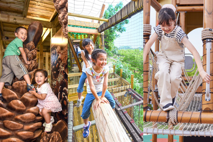 優先入場ができるファストライドチケット1回分