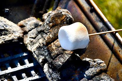 ぽかぽかキーワードラリー with meito