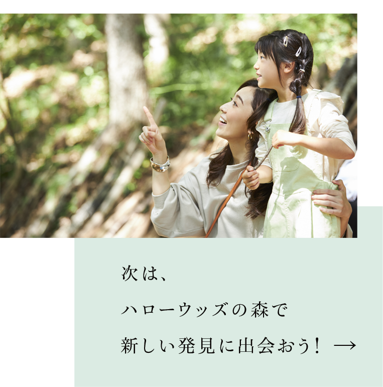 次はホンモノの森「ハローウッズ」で新しい発見に出会おう！
