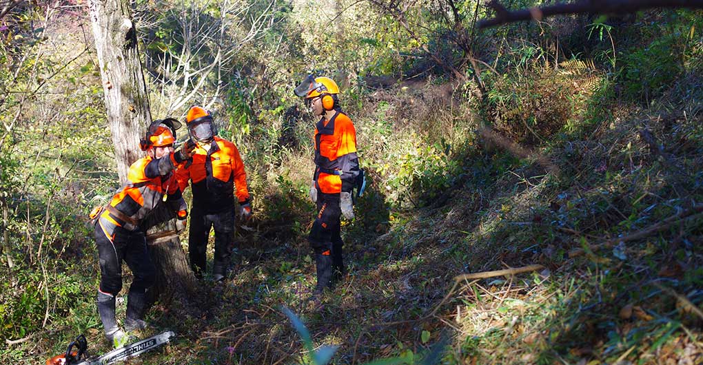 森林營造工作坊~伐木與集材~