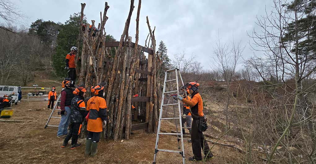 森林建設工作坊～生命之塔建設～