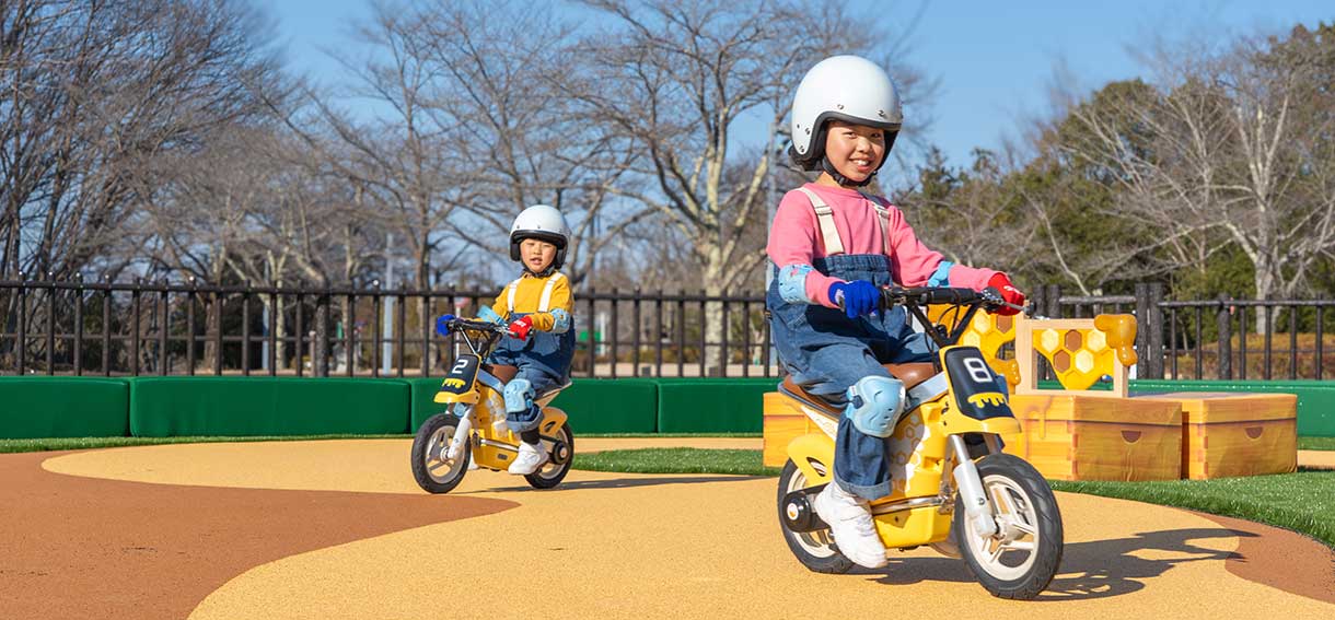 小野豬興奮冒險方案