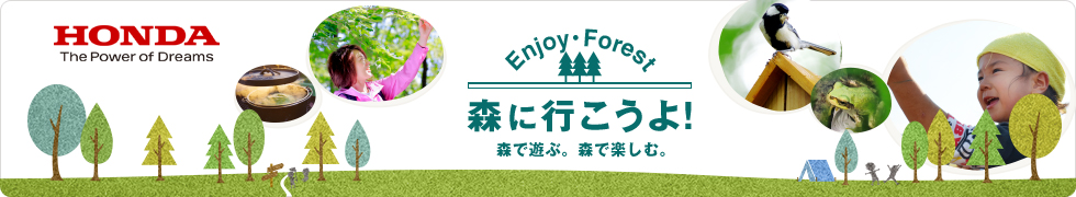 讓我們去森林吧！