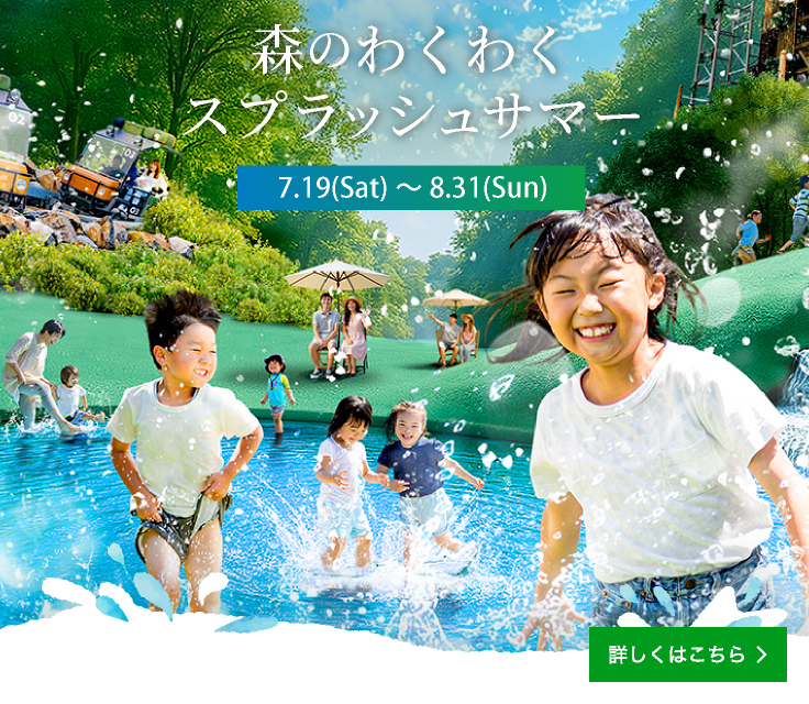 夏季活動