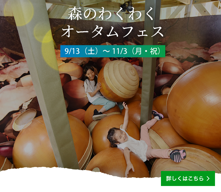 秋・冬的活動